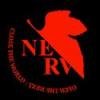 NeRv