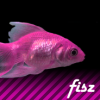 Fisz